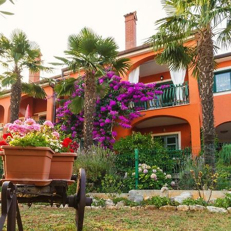 Apartments Mirjana Novigrad Istria Kültér fotó