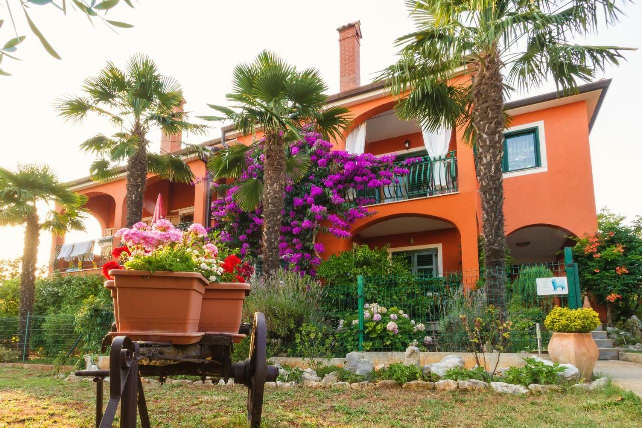 Apartments Mirjana Novigrad Istria Kültér fotó